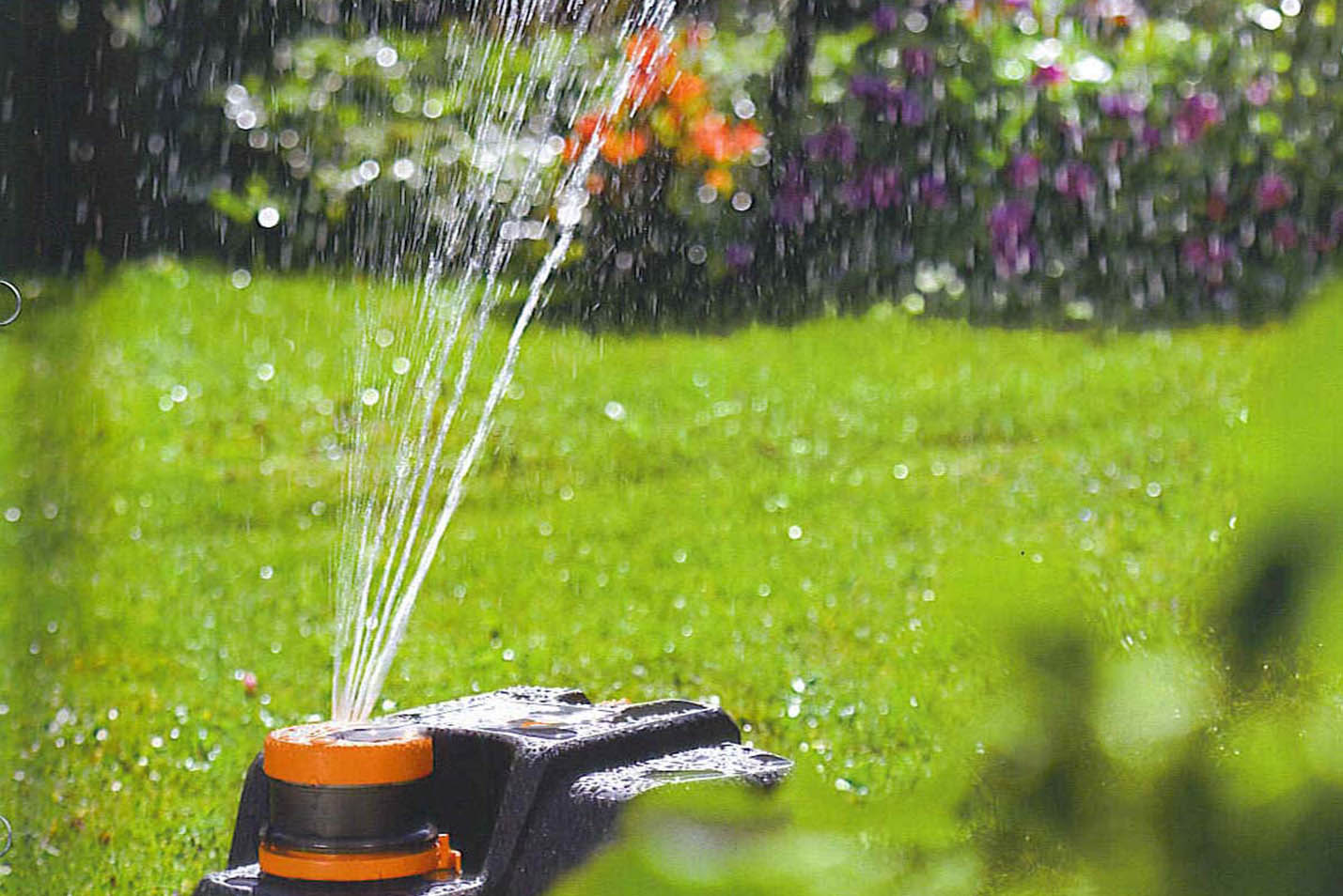 Ahorro de agua en el jardín